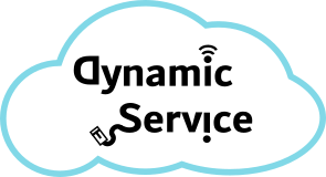 DynamicService.it